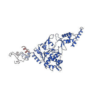 12975_7ola_B_v1-2
Structure of Primase-Helicase in SaPI5