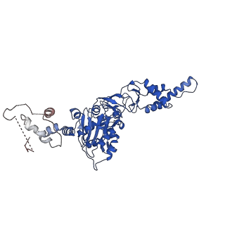 12975_7ola_C_v1-2
Structure of Primase-Helicase in SaPI5