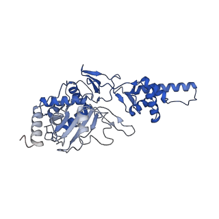 12975_7ola_D_v1-2
Structure of Primase-Helicase in SaPI5