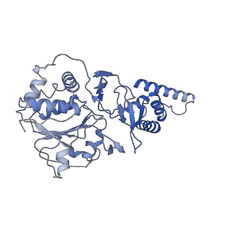 12975_7ola_E_v1-2
Structure of Primase-Helicase in SaPI5
