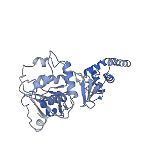 12975_7ola_F_v1-2
Structure of Primase-Helicase in SaPI5
