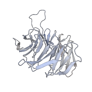 12976_7olc_A_v1-2
Thermophilic eukaryotic 80S ribosome at idle POST state