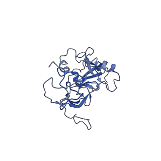 12976_7olc_LA_v1-2
Thermophilic eukaryotic 80S ribosome at idle POST state
