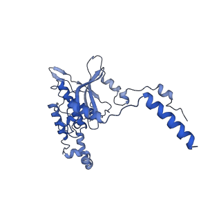 12976_7olc_LD_v1-2
Thermophilic eukaryotic 80S ribosome at idle POST state