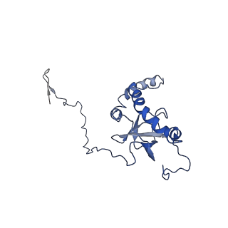 12976_7olc_LE_v1-2
Thermophilic eukaryotic 80S ribosome at idle POST state