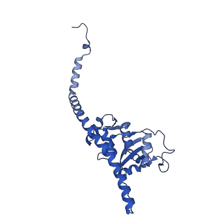 12976_7olc_LF_v1-2
Thermophilic eukaryotic 80S ribosome at idle POST state