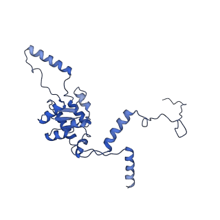 12976_7olc_LG_v1-2
Thermophilic eukaryotic 80S ribosome at idle POST state