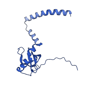 12976_7olc_LM_v1-2
Thermophilic eukaryotic 80S ribosome at idle POST state