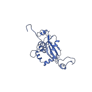 12976_7olc_LN_v1-2
Thermophilic eukaryotic 80S ribosome at idle POST state