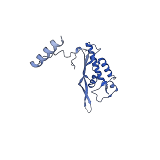12976_7olc_LP_v1-2
Thermophilic eukaryotic 80S ribosome at idle POST state