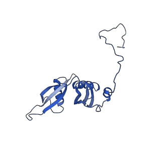 12976_7olc_LS_v1-2
Thermophilic eukaryotic 80S ribosome at idle POST state