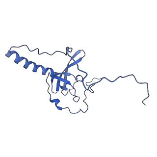 12976_7olc_LT_v1-2
Thermophilic eukaryotic 80S ribosome at idle POST state