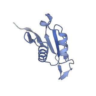 12976_7olc_LU_v1-2
Thermophilic eukaryotic 80S ribosome at idle POST state