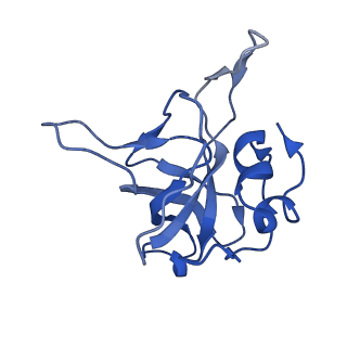 12976_7olc_LV_v1-2
Thermophilic eukaryotic 80S ribosome at idle POST state