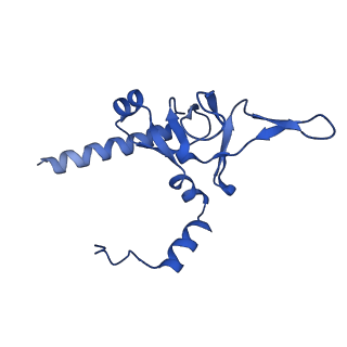 12976_7olc_LY_v1-2
Thermophilic eukaryotic 80S ribosome at idle POST state