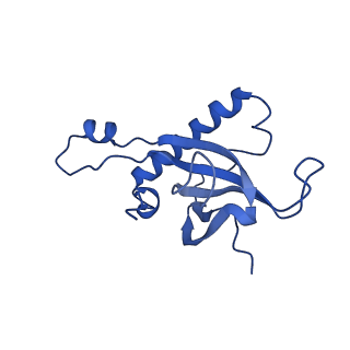 12976_7olc_LZ_v1-2
Thermophilic eukaryotic 80S ribosome at idle POST state