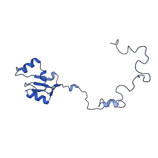 12976_7olc_La_v1-2
Thermophilic eukaryotic 80S ribosome at idle POST state