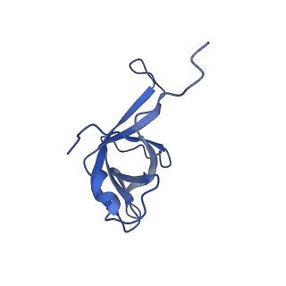 12976_7olc_Lf_v1-2
Thermophilic eukaryotic 80S ribosome at idle POST state