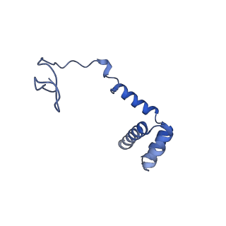 12976_7olc_Li_v1-2
Thermophilic eukaryotic 80S ribosome at idle POST state