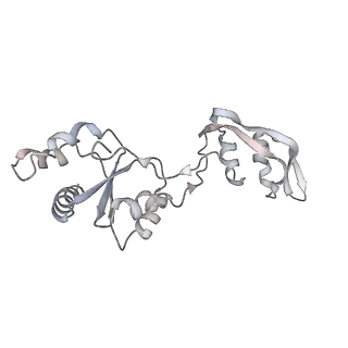 12976_7olc_Ls_v1-2
Thermophilic eukaryotic 80S ribosome at idle POST state