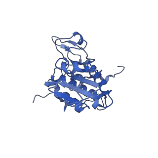 12976_7olc_SA_v1-2
Thermophilic eukaryotic 80S ribosome at idle POST state