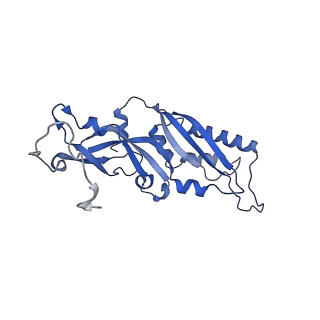 12976_7olc_SB_v1-2
Thermophilic eukaryotic 80S ribosome at idle POST state