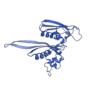 12976_7olc_SC_v1-2
Thermophilic eukaryotic 80S ribosome at idle POST state