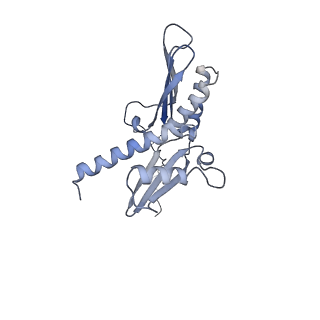 12976_7olc_SD_v1-2
Thermophilic eukaryotic 80S ribosome at idle POST state
