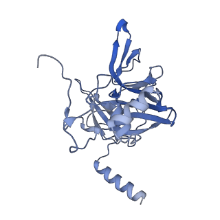 12976_7olc_SE_v1-2
Thermophilic eukaryotic 80S ribosome at idle POST state