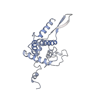 12976_7olc_SF_v1-2
Thermophilic eukaryotic 80S ribosome at idle POST state