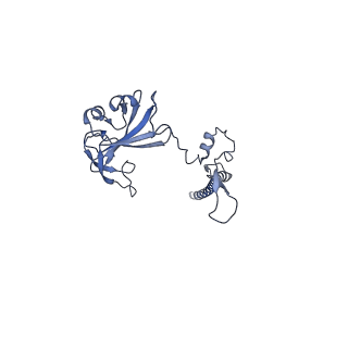 12976_7olc_SG_v1-2
Thermophilic eukaryotic 80S ribosome at idle POST state