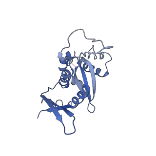 12976_7olc_SH_v1-2
Thermophilic eukaryotic 80S ribosome at idle POST state