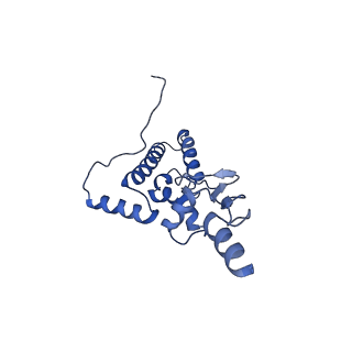 12976_7olc_SJ_v1-2
Thermophilic eukaryotic 80S ribosome at idle POST state