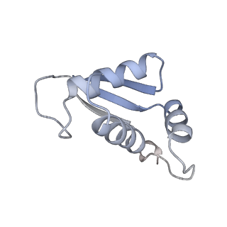 12976_7olc_SK_v1-2
Thermophilic eukaryotic 80S ribosome at idle POST state
