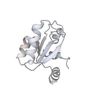 12976_7olc_SM_v1-2
Thermophilic eukaryotic 80S ribosome at idle POST state