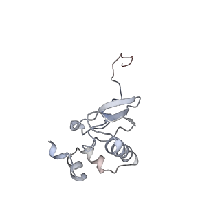 12976_7olc_SP_v1-2
Thermophilic eukaryotic 80S ribosome at idle POST state
