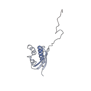 12976_7olc_SQ_v1-2
Thermophilic eukaryotic 80S ribosome at idle POST state