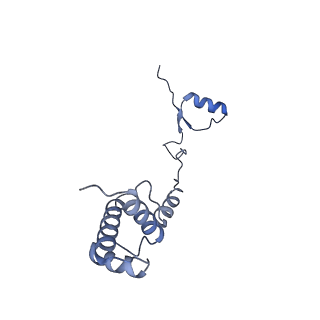 12976_7olc_SR_v1-2
Thermophilic eukaryotic 80S ribosome at idle POST state