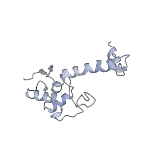 12976_7olc_SS_v1-2
Thermophilic eukaryotic 80S ribosome at idle POST state