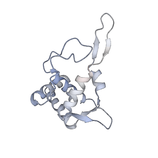 12976_7olc_ST_v1-2
Thermophilic eukaryotic 80S ribosome at idle POST state