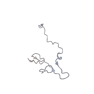 12976_7olc_Sf_v1-2
Thermophilic eukaryotic 80S ribosome at idle POST state