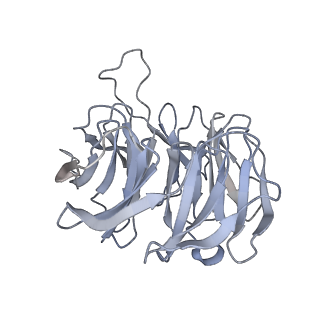 12977_7old_A_v1-1
Thermophilic eukaryotic 80S ribosome at pe/E (TI)-POST state