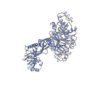 12977_7old_C_v1-1
Thermophilic eukaryotic 80S ribosome at pe/E (TI)-POST state