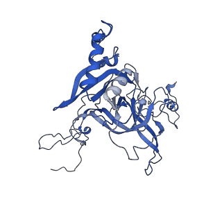 12977_7old_LB_v1-1
Thermophilic eukaryotic 80S ribosome at pe/E (TI)-POST state