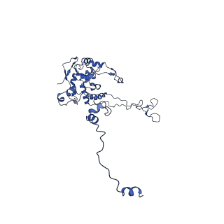 12977_7old_LC_v1-1
Thermophilic eukaryotic 80S ribosome at pe/E (TI)-POST state