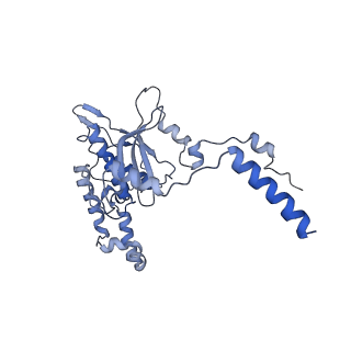 12977_7old_LD_v1-1
Thermophilic eukaryotic 80S ribosome at pe/E (TI)-POST state
