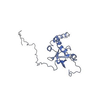 12977_7old_LE_v1-1
Thermophilic eukaryotic 80S ribosome at pe/E (TI)-POST state