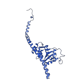 12977_7old_LF_v1-1
Thermophilic eukaryotic 80S ribosome at pe/E (TI)-POST state