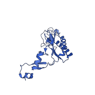 12977_7old_LI_v1-1
Thermophilic eukaryotic 80S ribosome at pe/E (TI)-POST state