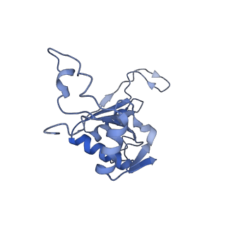 12977_7old_LJ_v1-1
Thermophilic eukaryotic 80S ribosome at pe/E (TI)-POST state
